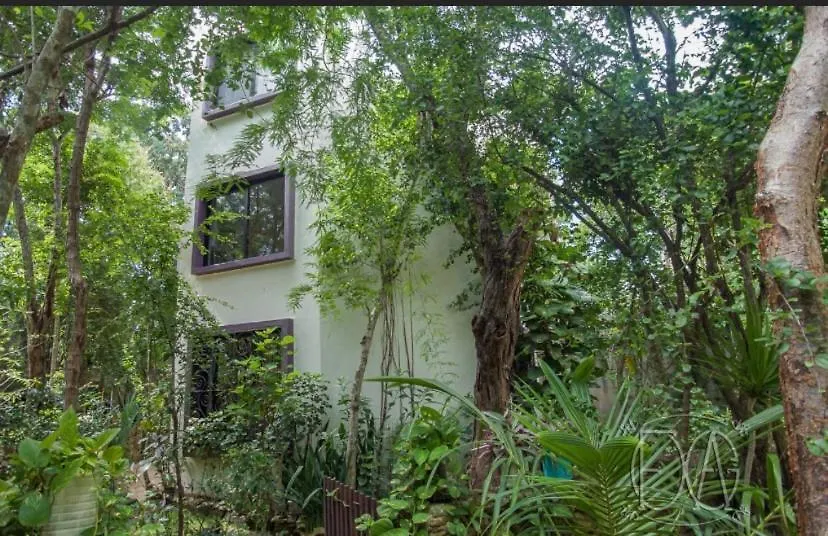 Avalon Tulum Apartment