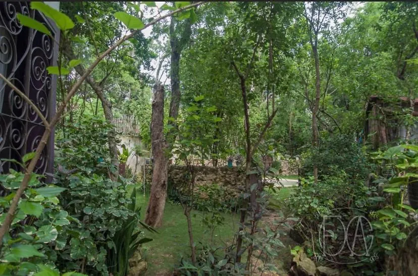 Apartament Avalon Tulum 0*,  Meksyk